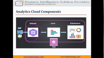 Salesforce Wave Analytics and Configuration