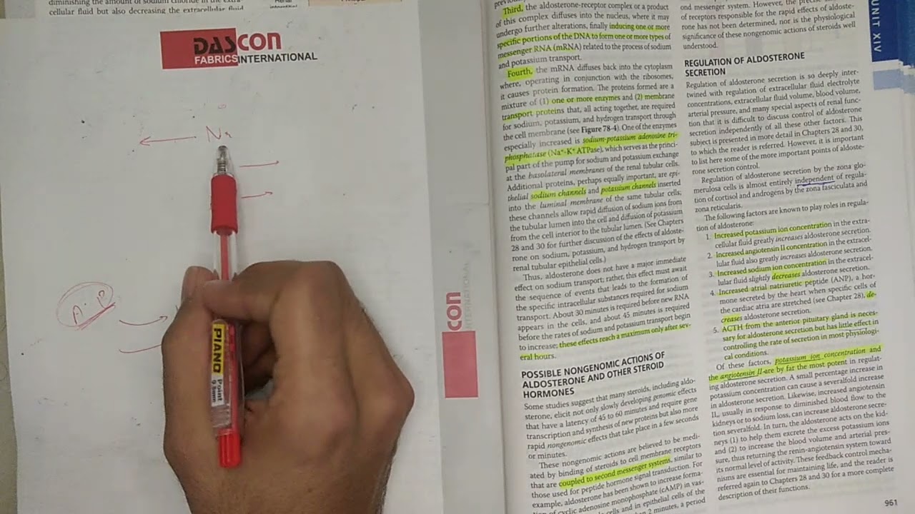 jaldi jaldi guyton chapter 78