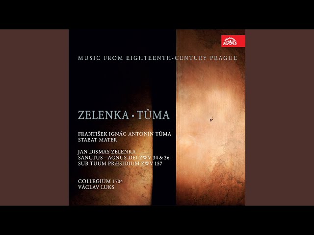 Zelenka - Sub tuum praesidium ZWV157 n°2 : Collegium & Collegium Vocale 1704 / V.Luks