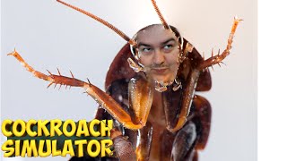 Cockroach Simulator screenshot 2