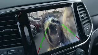 Kristen Bell and a Sloth in ADD - Enterprise Car Sales