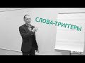 💲💲Техника продаж. Слова Триггеры. Как продавать эффективно.