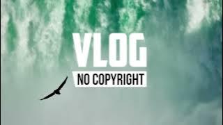 Niya - A Bloom (Vlog No Copyright Music)