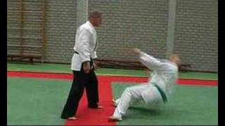 Knock Out Budogym