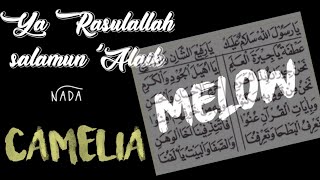 CAMELIA Lirik Ya Rasulallah Salamun Alaik | MAULID DIBA'