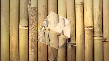 Apple Motion Bump map test