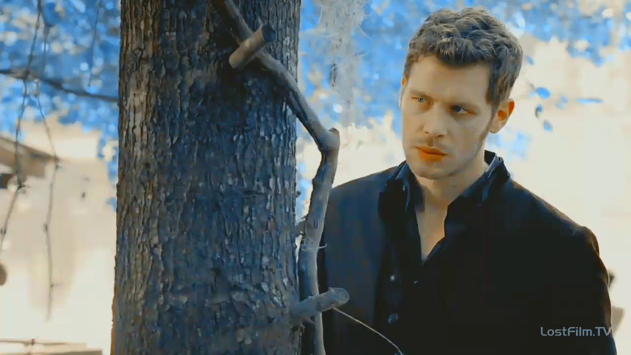 Klaus & Hayley || Берегу