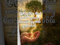 Mustard Seed (Matthew 13:31–32)