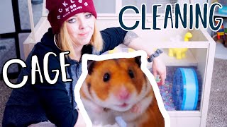 Hamster Cage Cleaning | Syrian Hamster