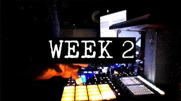 PL: WEEK 2 (new needle / beatsmithing / fretless fader mission)