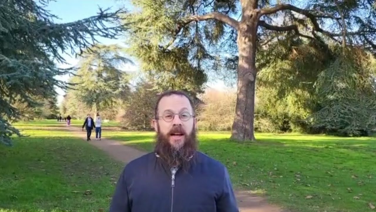 עצי הארזים של לונדון מול עצי הארזים שהיו ליהודים במדבר. פרשת תרומה . הרב דוד כץ חב"ד ווסט המפסטד