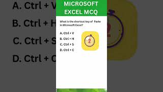 Excel MCQ