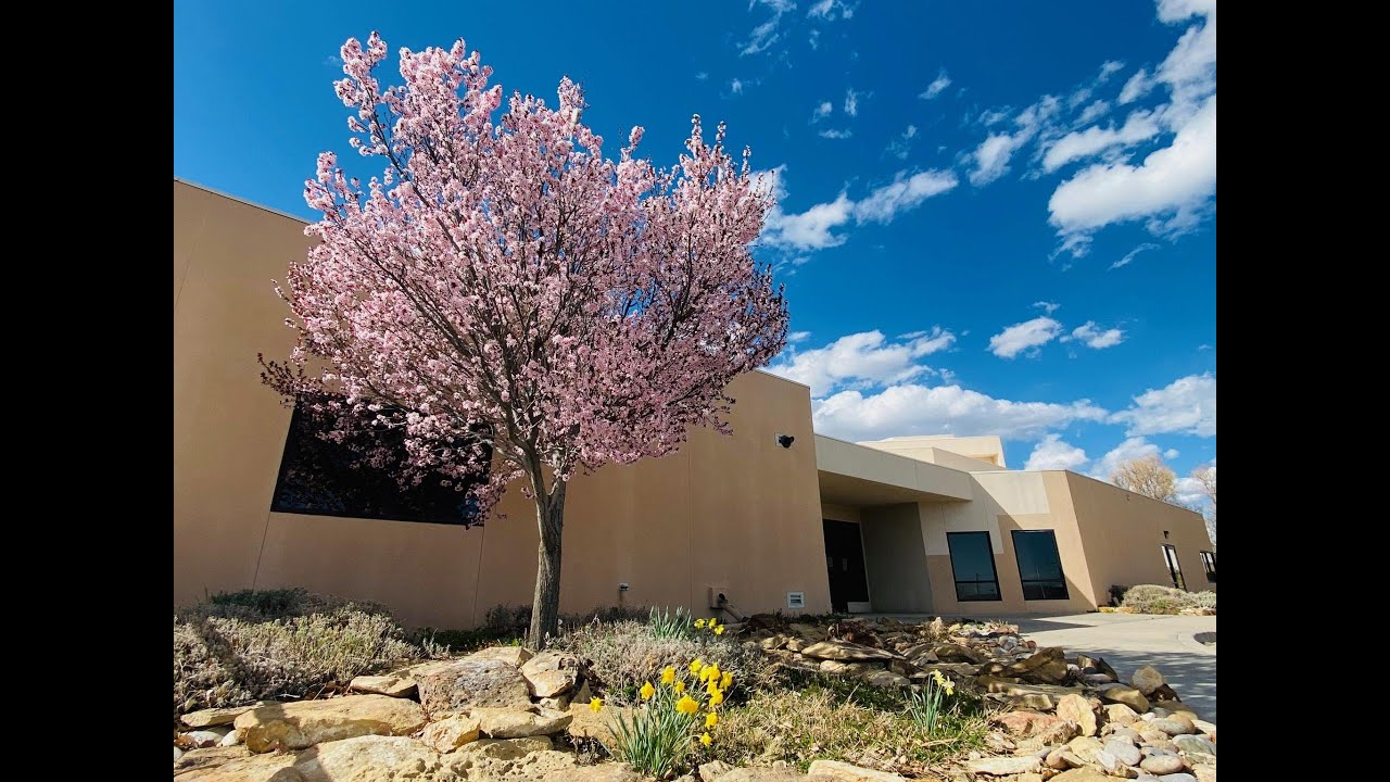 Creation Truth Session 4 - The Heavens Declare