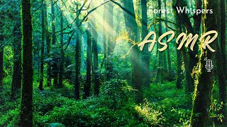 Relaxing Forest Stream Sounds- Deep Sleep, Meditation,Stress Relief