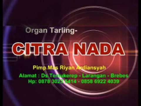 STATUS DIRI Klasik - Citra Nada Live Pakijangan Bulakamba Brebes