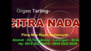 STATUS DIRI Klasik - Citra Nada Live Pakijangan Bulakamba Brebes