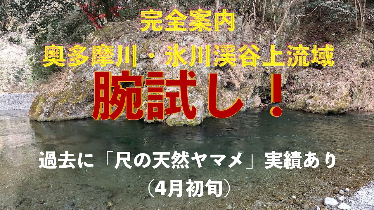 氷川渓谷上流域完全案内〜腕試しに最適〜[渓流釣り]