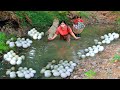 survival in forest  - Women find food meet eggs for dog - Cooke eggs  for dog eating delicious