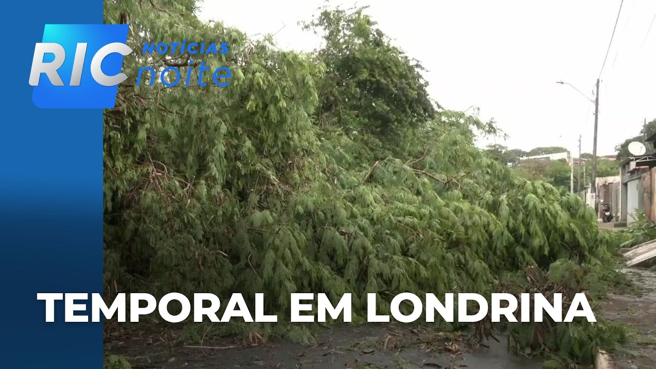 Tempo no Paraná: ventos atingiram 37,8 km/h durante temporal em Londrina, segundo Simepar