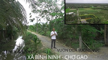 (Đã bán)vườn dừa 915m có 300m thổ tại xã Bình Ninh Chợ Gạo Tiền Giang