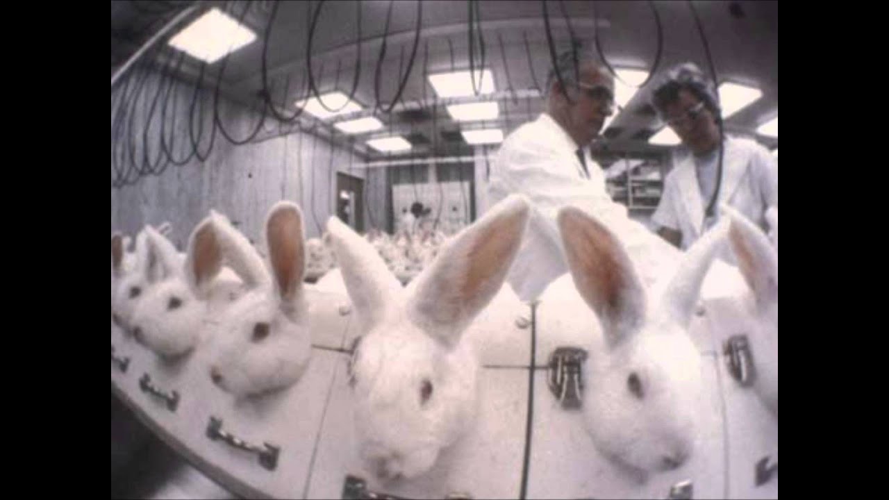 Say No To Cosmetic Animal Testing