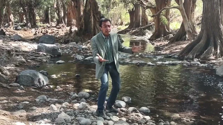 Rogelio Quiroz "Yo te amo"