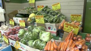 Japanese farmers reject free trade group