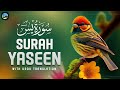 Surah Yasin ( Yaseen ) with Urdu Translation | Quran Tilawat Beautiful Voice | Hindi Tarjuma