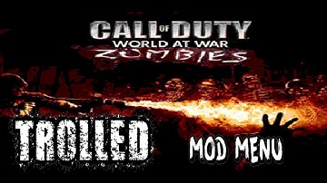 Cod WAW | Mod Menu Trolling | Im not host