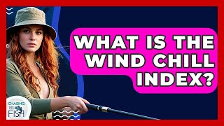 What Is The Wind Chill Index? - Chasing Big Fish