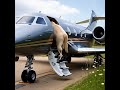 GOAT Enters Private Jet Like A Celebrity рџђђвњ пёЏ Must See Viral Moment Goat Funny Comedy Animals GOAT Enters Private Jet Like A Celebrity рџђђвњ пёЏ Must See Viral Moment Goat Funny Comedy Animals