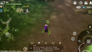 블레이드소울 레볼루션 수월평원 반달호수 공헌도상자 위치 공략 영상