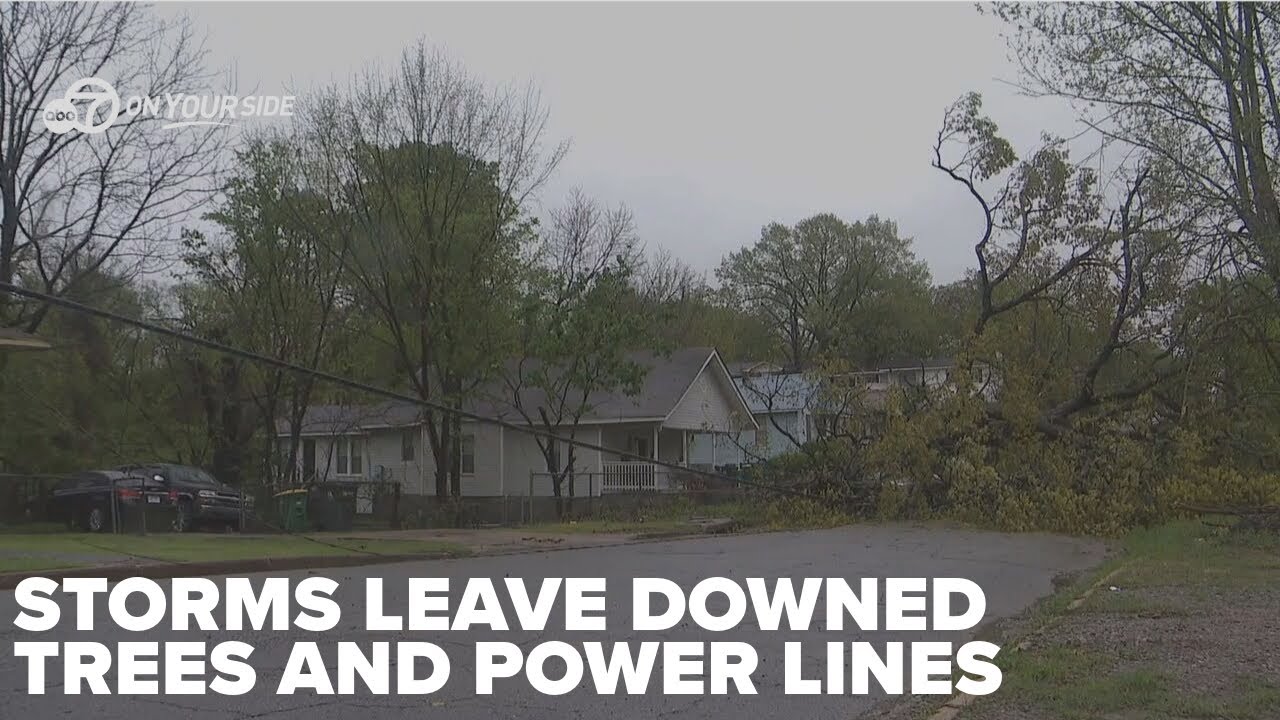 Downed power lines and trees presents new challenge in clean-up after ...