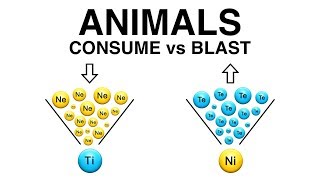 ANIMALS: Consume vs Blast