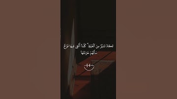 أجمل حالات واتس اب قرآن بصوت القارئ ماهر المعيقلي/#سورة_الملك#القرآن_الكريم #ماهر_المعيقلي/#6/#quran