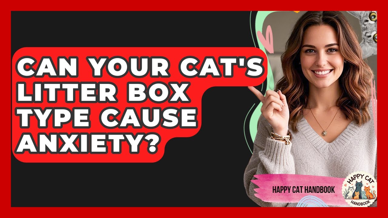 Can Your Cat's Litter Box Type Cause Anxiety? - Happy Cat Handbook