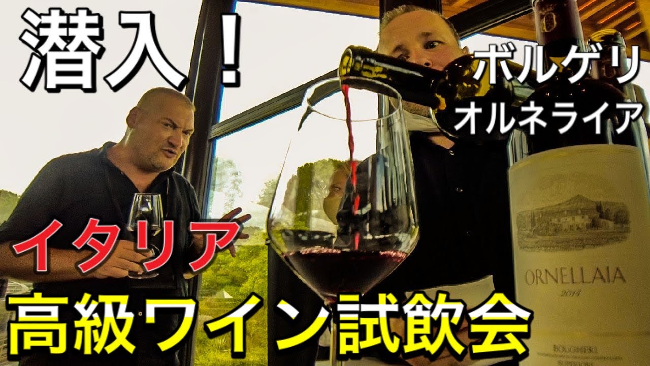 オルネライア🍷】イタリア 高級ワイン産地 ボルゲリの試飲会に