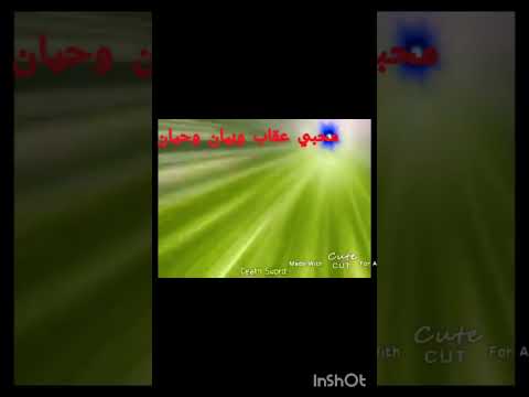 عقاب ضد عامر