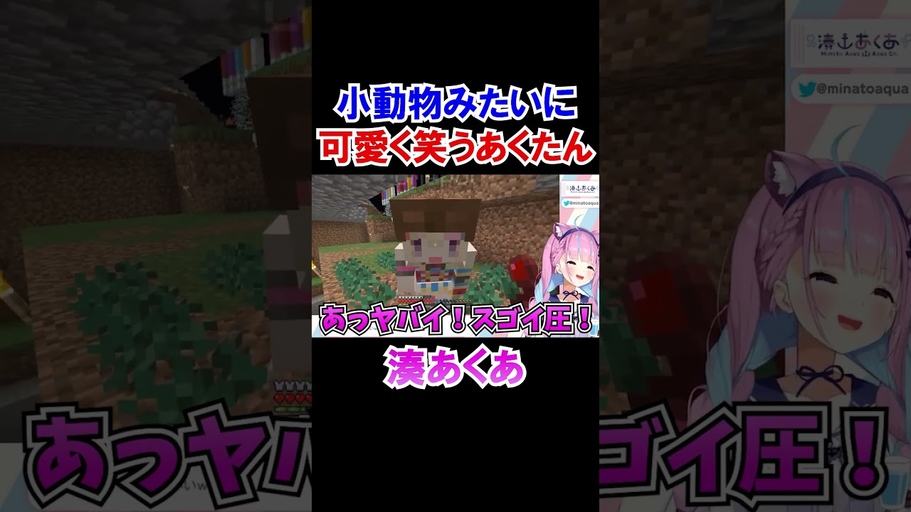 小動物みたいに可愛く笑うあくたんｗ【ホロライブ切り抜き/湊あくあ】#shorts