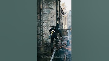 The Art of elegant Falling - Assassin