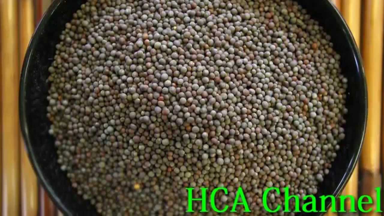 Beneficios de la semilla de mostaza para bajar de peso