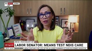 Ndis Spending And Integrity Concerns Over 52 Billion Scheme