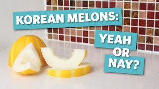 All about Korean Melons (Chamoe) + Taste Test Review