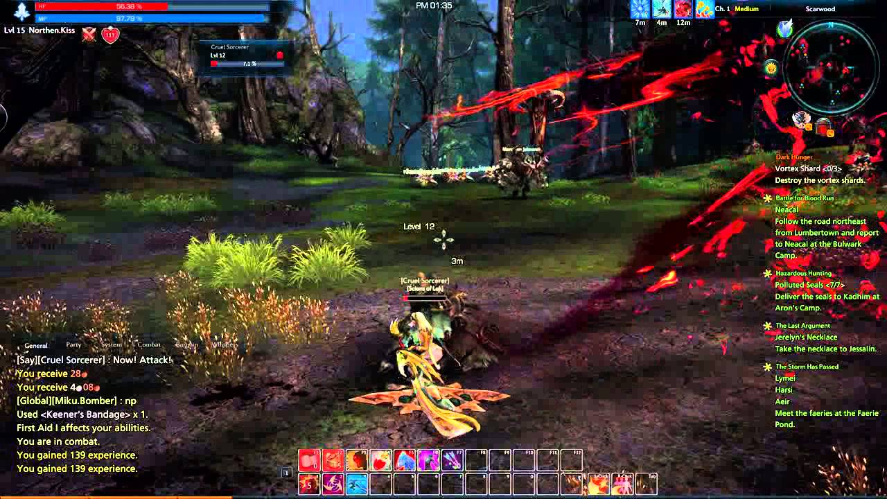 Slayer from Tera online