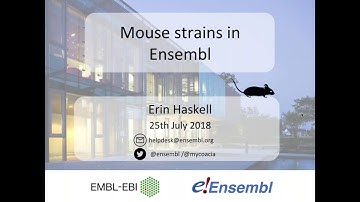 Mouse strains in Ensembl