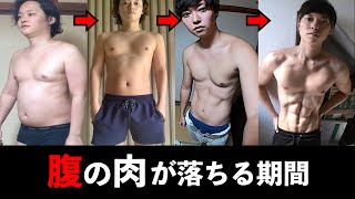 腹の贅肉を削ぎ落とすのに必要な期間とやるべき事。腹の脂肪（下腹の脂肪）を落としシックスパックを作るまで【見ると痩せる動画#37】【筋トレダイエット】