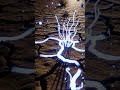Arid desert cracks bloom into a glowing, interconnected fungal labyrinth.