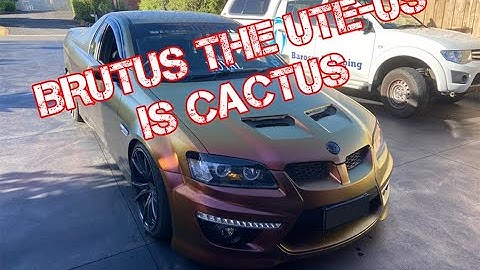 How to Replace Your SV6 Commodore Engine - PART 1