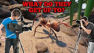 붉은 개미의 하루 - 접지 screenshot 4