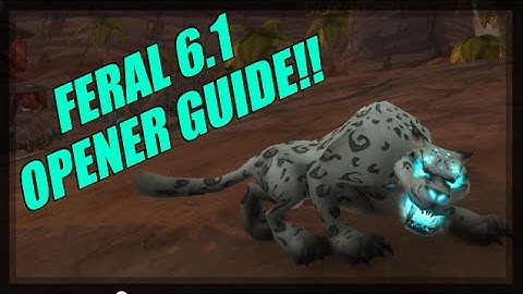 Feral Druid 6.1 - Opener Guide